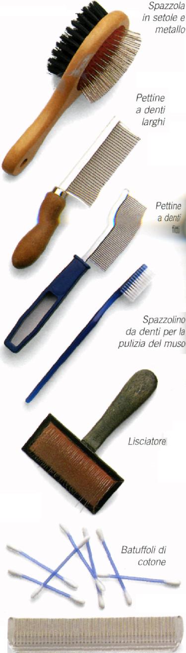 Spazzolatura del gatto a pelo lungo