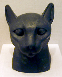 Egitto, paradiso dei gatti