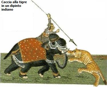 Tigre