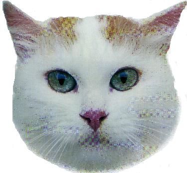 Turco van