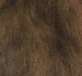 Persiano blu-crema