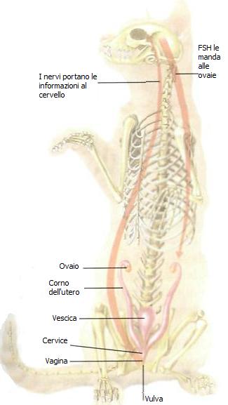 Garantirsi il futuro