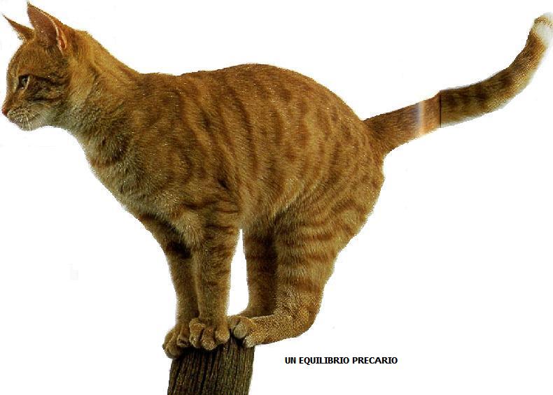 Udito ed equilibrio
