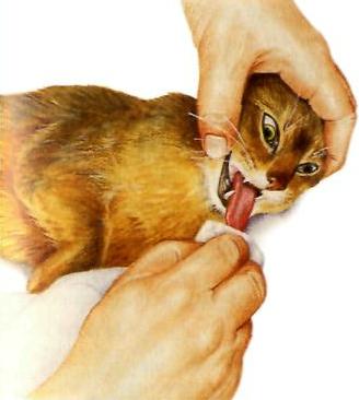 Pronto soccorso
