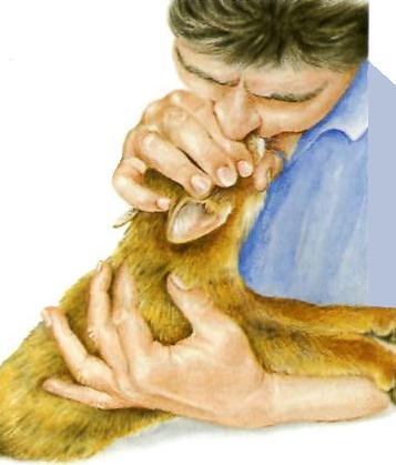 Pronto soccorso