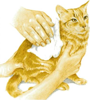 Pronto soccorso