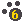 CaniGatti.net