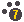 CaniGatti.net