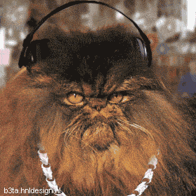 Foto di gatti che ascoltano la musica