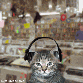 Foto di gatti che ascoltano la musica