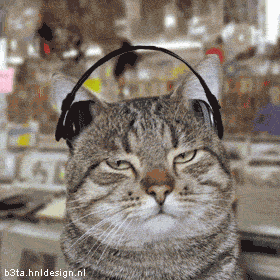 Foto di gatti che ascoltano la musica