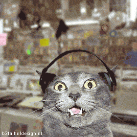 Foto di gatti che ascoltano la musica