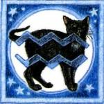 Oroscopo del gatto