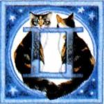 Oroscopo del gatto