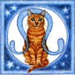 Oroscopo del gatto