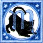 Oroscopo del gatto