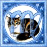 Oroscopo del gatto