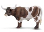 Toro del texas longhorn