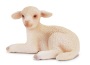 Agnello sdraiato