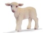Agnello in piedi