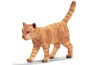 Gatto che cammina