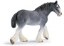 Cavalla clydesdale