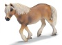 Cavalla haflinger