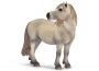 Giumenta camargue