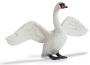 Cigno bianco