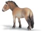 Cavallo di Przewalski