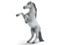 Mustang bianco impennato