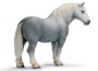 Stallone percheron