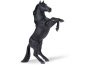 Mustang nero impennato