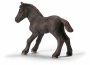 Puledro camargue