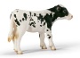 Vitello holstein