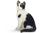 Gatto seduto