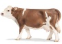 Mucca pezzata rossa