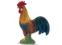 Gallo