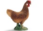 Gallina