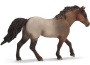 Cavallo quarter
