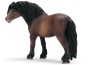 Pony dartmoor