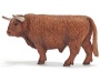 Toro highlander scozzese
