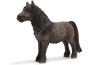 Stallone shetland