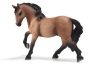 Lusitano