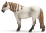 Giumenta andalusa