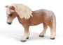 Giumenta falabella