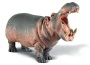 Ippopotamo maschio