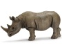 Rinoceronte africano nero