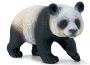 Panda gigante