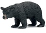 Orso nero